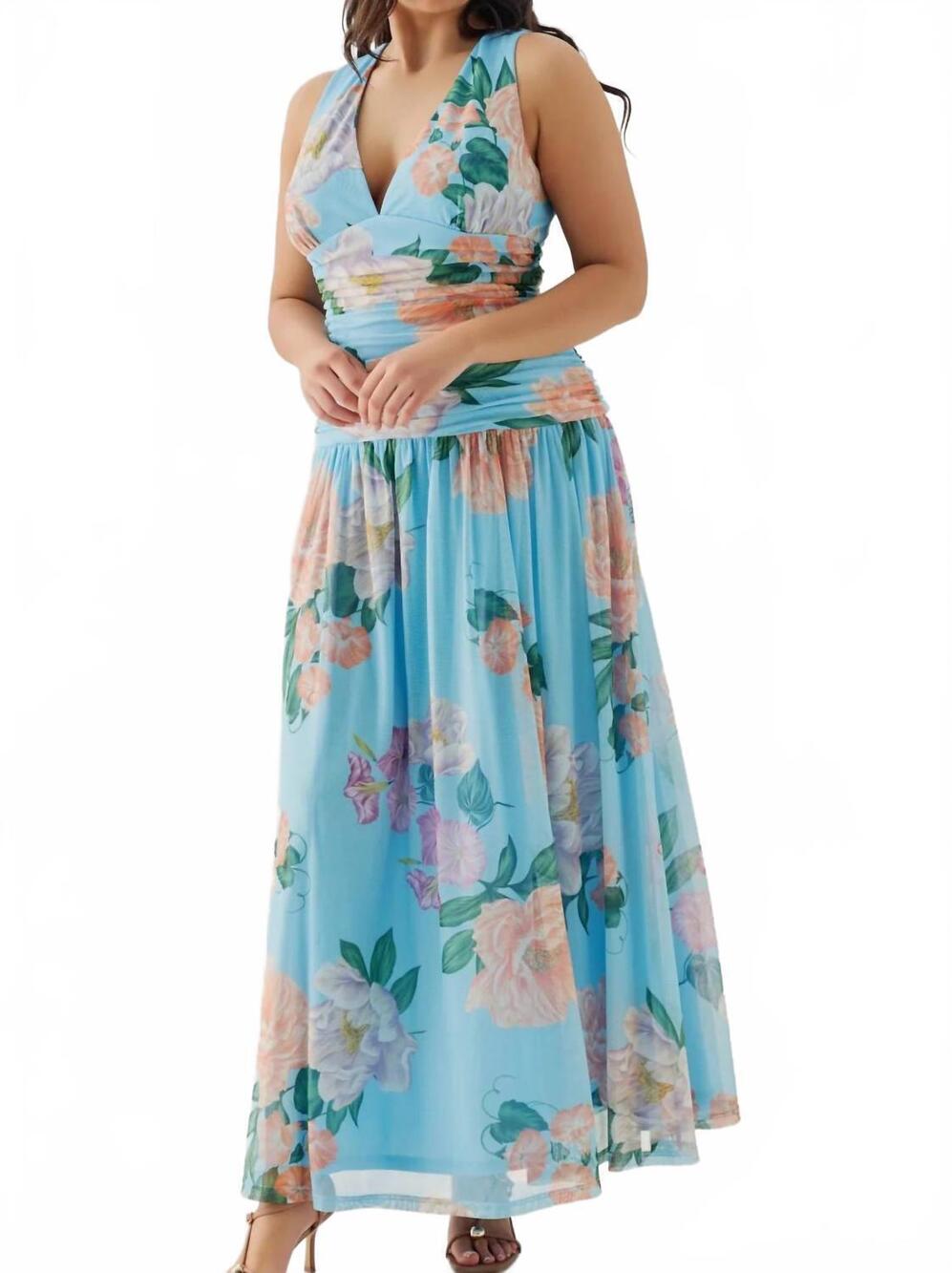 NEW HUTCH jadey maxi dress in sky floral